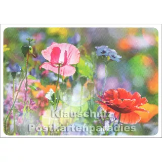 Sommerwiese mit Mohnblumen - Fotokarte / Postkarte von Skoko