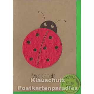 Marienkäfer - Viel Glück | Blumensamen Grußkarte von Die Stadtgärtner