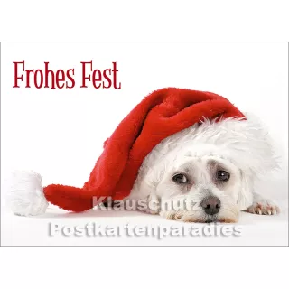 Postkarte Weihnachten | Frohes Fest!  Hund mit Weihnachtsmütze