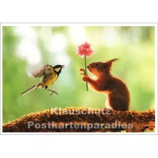Eichhörnchen und Meise - SkoKo Tier Postkarte