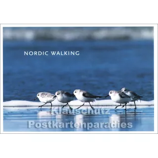 Nordic Walking - Küsten Postkarte