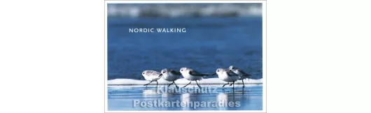 Nordic Walking - Küsten Postkarte